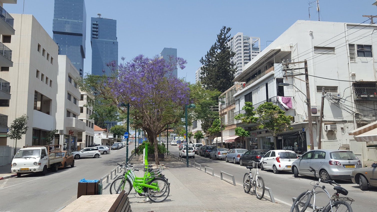 שדרות יהודית 2