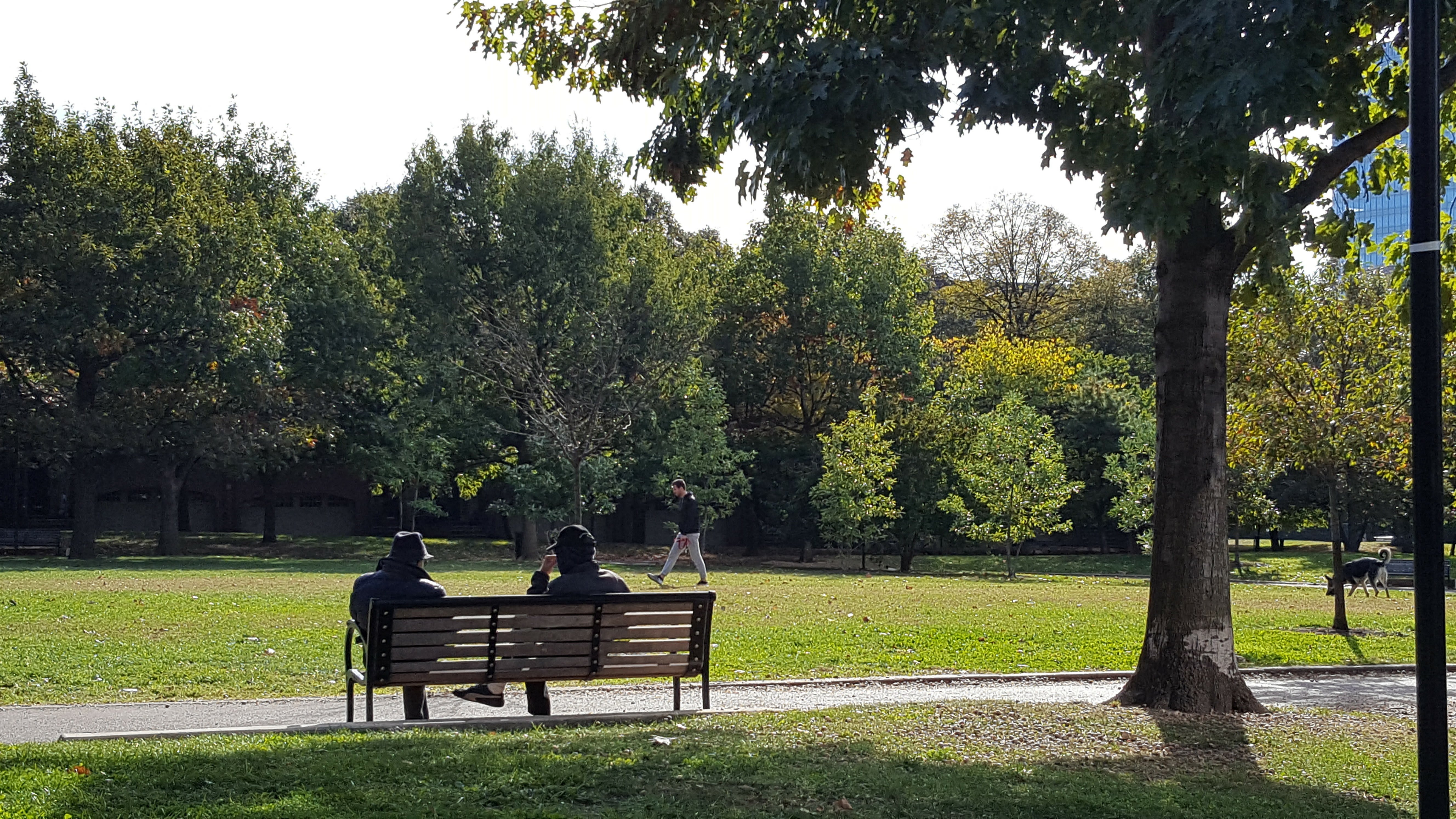 20161026_150509